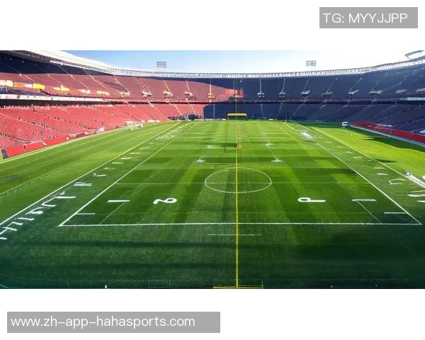 足球解忧：在绿茵场上找到快乐与释怀的心灵旅程